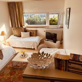 Studio 4pers SUPPER BESSE, Hotel in Besse-et-Saint-Anastaise
