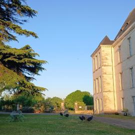 Viesnīca Palais abbatial de Bourgueil pilsētā Bourgueil