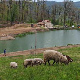 Peaceful Lake House, hotel en Chiojdeanca