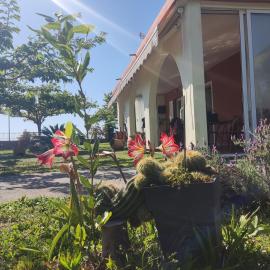 Sun N Sand, Hotel in Ligia