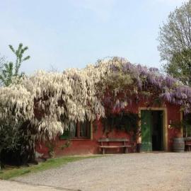 Agriturismo Cascina degli Ulivi, hotel a Novi Ligure