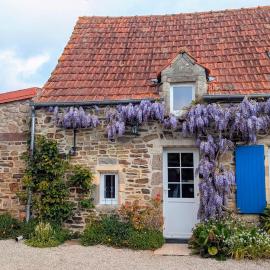La Glycine, maison normande proche de la mer et des lieux touristiques, hótel í Quettehou