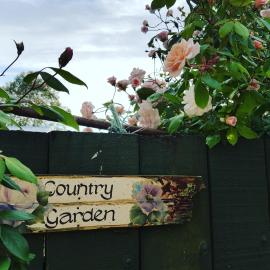 Dragonflycottagebnb, hotel sa Grovetown