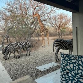 Chui House A Bush Retreat with Pool and AC Near Kruger Gate, hotel i Marloth Park