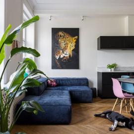 Luxurious Inner-City Flat