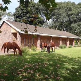 Chillifields Guesthouse, hotel di Hillcrest