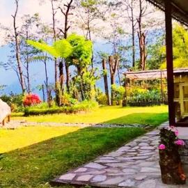 Tripoo Rhisum the premium Haapo retreat