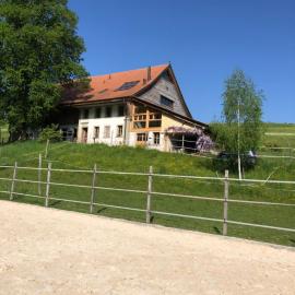 Sérénité et Nature dans une ferme équestre - loft lumineux de 140m2, hotel v mestu Massonnens