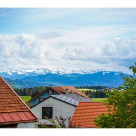 Alex Bergblick