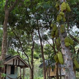 Eternal Forest Beach Bar&Bungalow, hotel a Ko Chang (Ranong)