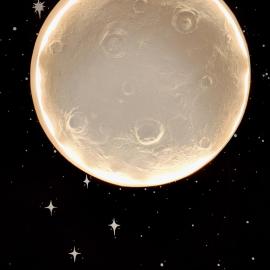 Moonlit Serenity