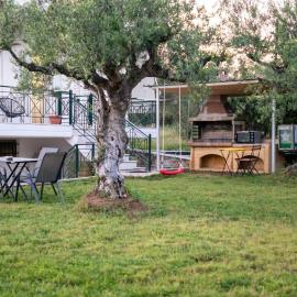 Olive Harmony House