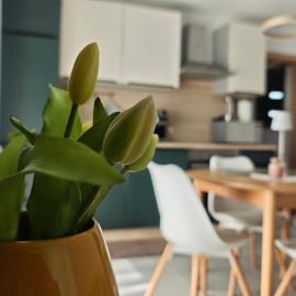 Apartma Mia Nadiža