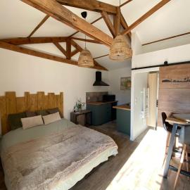 Paisible Studio Climatisé avec jardin Bassin Arcachon, hotel in Gujan-Mestras
