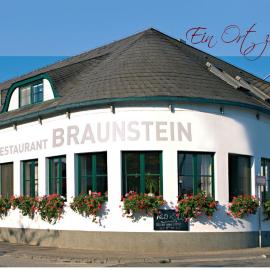 Hotel & Restaurant DasBraunstein, hotel in Purbach am Neusiedlersee