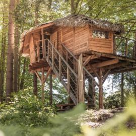 Treehouse Šumava โรงแรมในปราฮากิเต