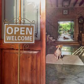 Casa Son Sant Jordi, hotell i Pollença
