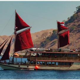 Komodo Island Tour 3 Days with Best Komodo Tour, hotel in Pulau Kukusan