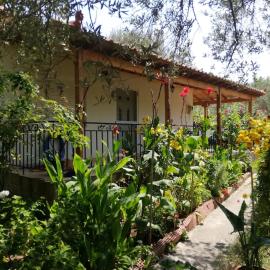 Eleni, hotel a Anaxos