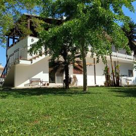 LA CASA DEL NOCE