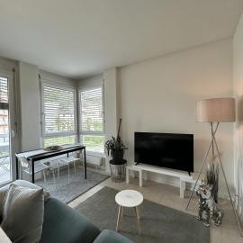 Free Parking - Near the Lake - Lugano apartment, hotel em Paradiso