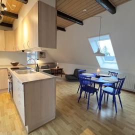 Bright Nordic Loft Apartment，Spottrup的飯店