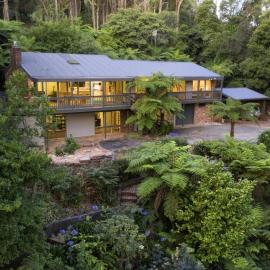 Forest Hideaway - with Sauna