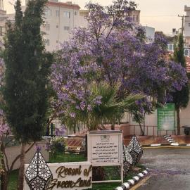 شاليهات الارض الخضراء لبيوت العطلات, hotel u gradu Al Baha