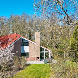 Grote Bonte Specht I Moderne Bungalow aan Bosrand