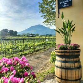 Vesuvio Inn Guest House e Wine Experience, hotel a Boscotrecase