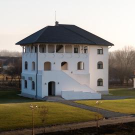Pensiunea Cocosel, hotel en Căstău
