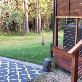 The Bungalow - Luxurious & Calm - Beach and Bush Retreat, hotell i Valla Beach