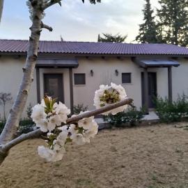 דצ'א - Дача - Dacha, hotel en El-Rom