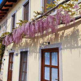 Apartma Kras, hotel v destinácii Komen