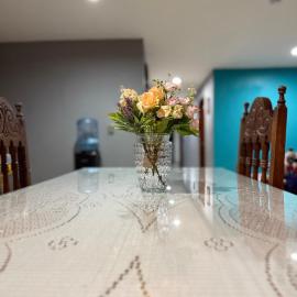 Casa Jardin Nuñez