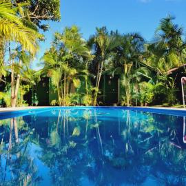 La Palmera Dorada