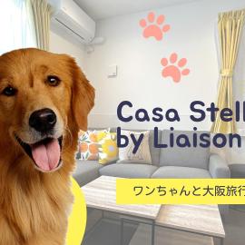 Casa Stella 8 by Liaison カーサステラ8 byリエゾン