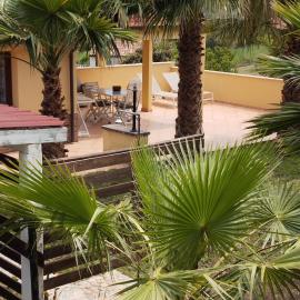 Casa delle palme