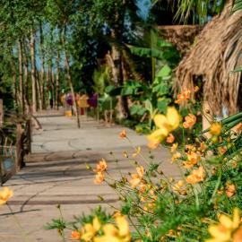Ann Homestay