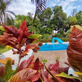 Estancia Colibrí