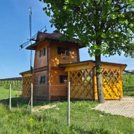 Unique wooden holiday house in nature