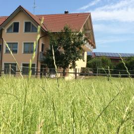 Ferienwohnungen Hackerhof