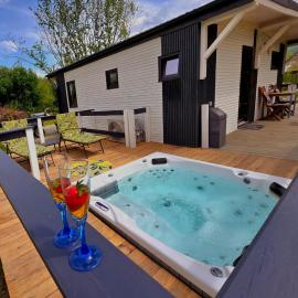 Api Haus, hotel in Porumbacu de Sus