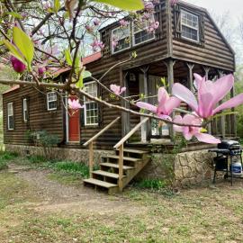 Sunnybrook Cabin, wooded, private with stream, near ATV trails, hotel en Mena
