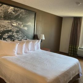 Super 8 by Wyndham Colorado Springs Airport, hotel a Colorado Springs