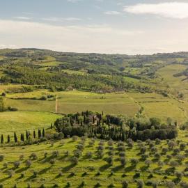 Podere Fignano, holiday home - apartments renovated 2024 - new swimming pool