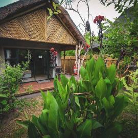 African Excursions Guest lodge, hotell sihtkohas Khwai