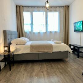 Studio Grenoble Gare GEM PLACE PARKING GRATUIT