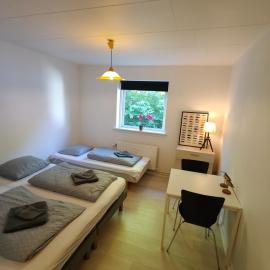 Capital of LEGO Bricks - Room 17, hotel in Billund