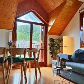Apartamento Sobremonte: vistas al Rio Gallego, hotell i Biescas